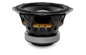 10NMFS, Haut-Parleur Subwoofer 10 » 700 W, 8 ohms