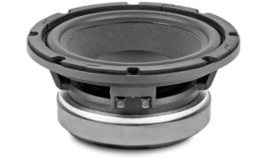 8P300Fe/N, 8&Prime; Pro ferrite woofer 600 W, 8 Ohms